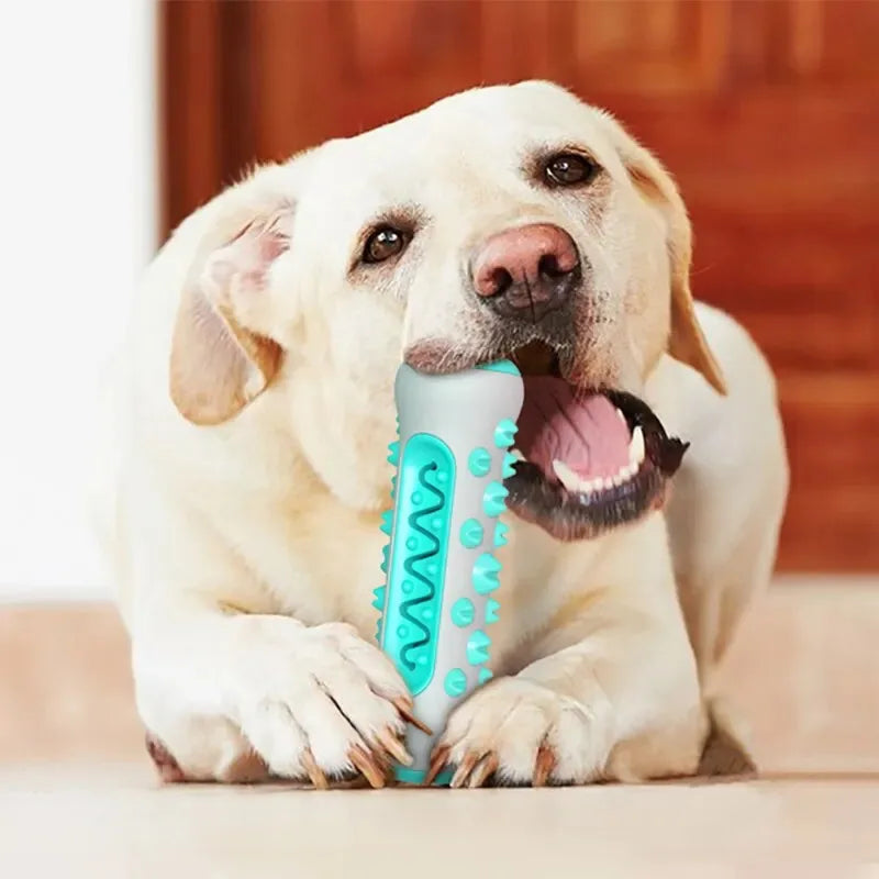 Brinquedo Mastigável Dental Para Cães Miauzy™