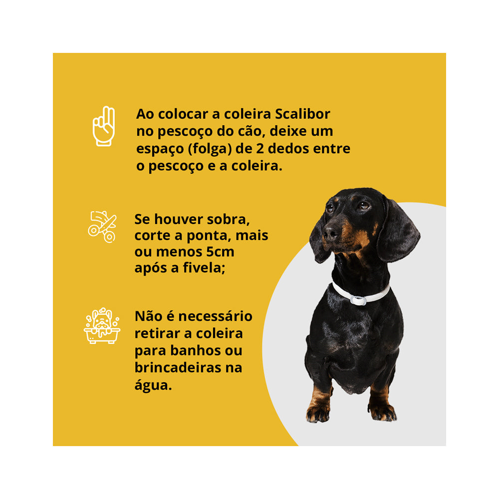 Coleira Antiparasitas Scalibor MSD Saúde Animal