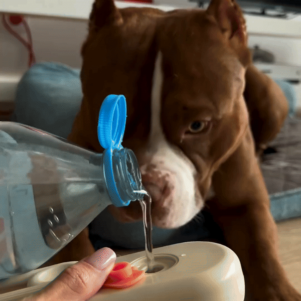 Escova Vaporizadora 3 em 1 Para Pets Miauzy™ – (Frete Grátis)