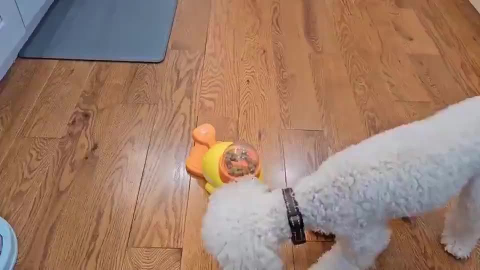 Brinquedo Interativo Pato Dispensador de Ração | Alimentador Tigela Lenta Divertida Para Cães e Gatos Petiscos e Ração